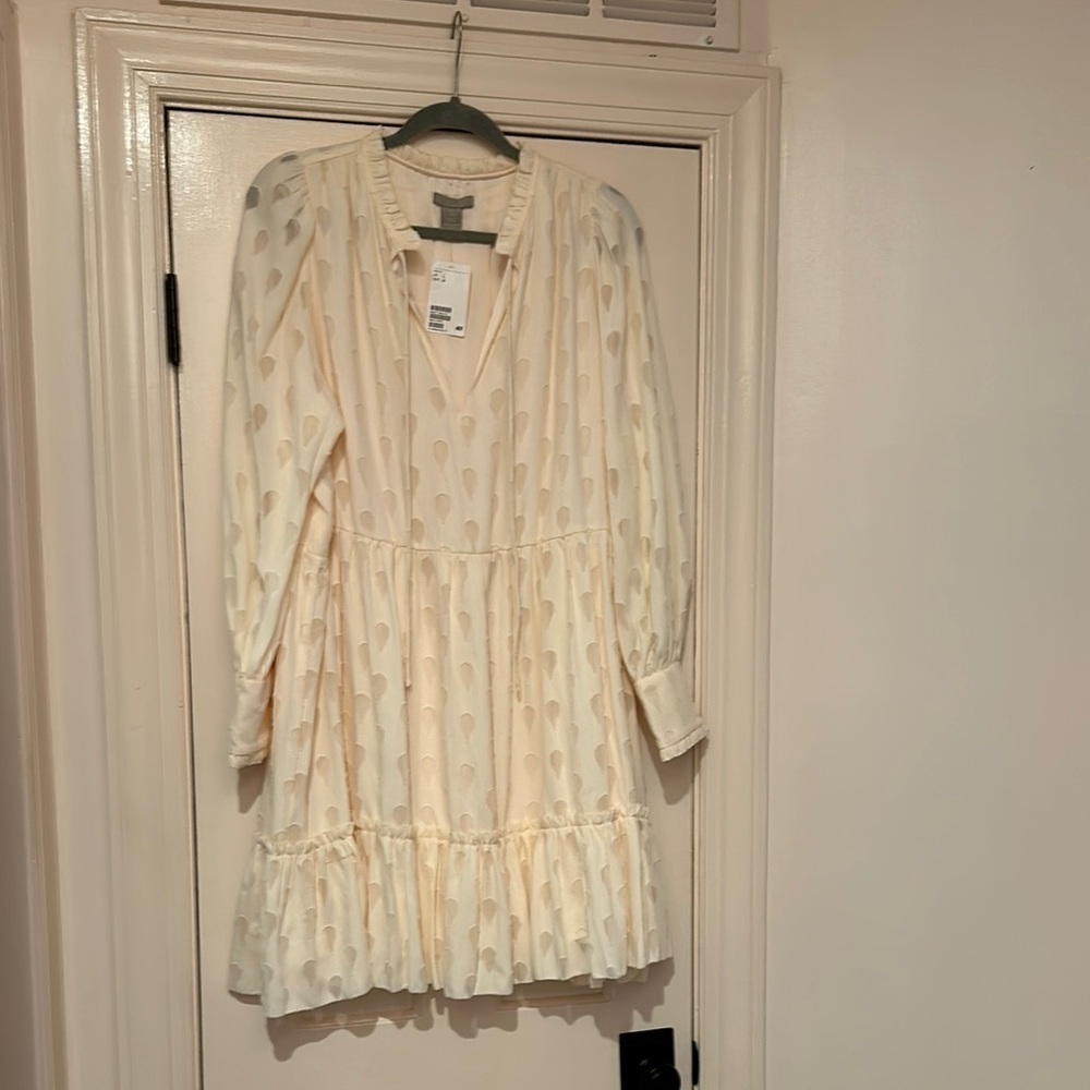 Zara Cream Long Sleeve Dress